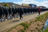 Lesotho army admits teenagers were sexually harassed