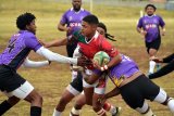 ‘House of Pain’ awaits Gardens in Gold Cup