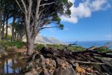 Popular Cape Town hiking trails closed after fire