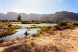 This travel trend generated over R1 billion for SA tourism in 2024