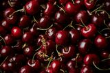 Why cherries could be South Africa’s next big export