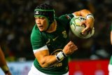 Rankings: All permutations for Springboks