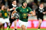 Cheslin Kolbe races up Springbok all-time Test try-scorers list