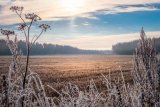 Chilly weather expected across Gauteng