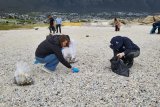 Cape Town encourages beachgoers to keep shores clean and safe