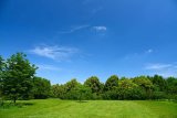 Clear skies set to dominate Gauteng