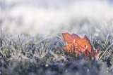 Cooler conditions with cloud cover for KwaZulu-Natal