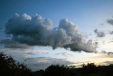 Scattered rain and warm conditions are expected in Gauteng