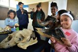 Holiday programme brings Bayworld and more to Bloemendal children