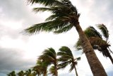 KwaZulu-Natal braces for damaging winds and isolated showers
