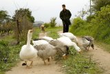 A VINE TIME | Fine wines made in the organic way