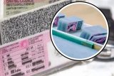 Good news: SA’s driving licence backlog drastically shrinks