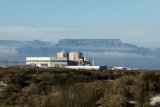 Defects in metal tubes delay return to service of Koeberg unit 1