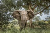 South Africa’s Top 10 biggest game reserves