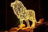 Festival of Lights brings holiday glow to Johannesburg Zoo