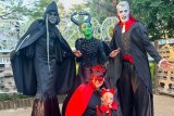 BOO! Celebrate Halloween at the Johannesburg Zoo