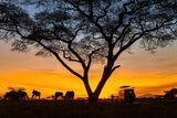 Twelve SA parks feature in 2026 Best African Safari Parks list