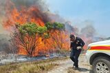 Western Cape fires: Why wildfire season is becoming more intense