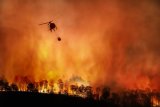 Parts of KwaZulu-Natal will face high fire danger conditions