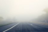 Foggy mornings and isolated showers expected in KwaZulu-Natal