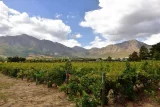 6 Western Cape getaways to enjoy — even on a rainy weekend
