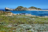 Land meets the sea: Western Cape coastal fynbos trails to explore