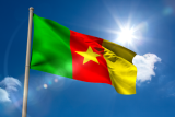 Second ally of Cameroon's Biya enters presidential race