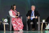 Regional approach could work for SA’s auto industry, says former minister