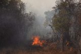 News24 | KZN on high alert amid high risk of veld fires