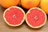How SA growers are making grapefruit cool again, starting in Europe