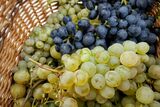 Local grapes: Why SA has had one of its WORST export months in years