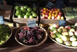 How South Africa’s fruit industry plans to deal with US trade tariffs