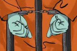 MPs call for action on prison overcrowding