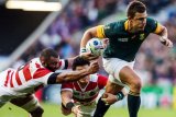 Rassie’s message to Boks before Japan rematch: Remember Brighton, but don’t relive it
