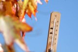 KwaZulu-Natal weather: Heat inland, showers on the coast
