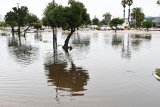 Heavy rainfall causes flooding of Cape Town’s low-lying areas