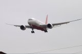 Air India plane crashes with 242 passengers on board