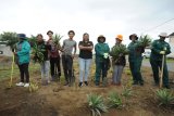 NPO turns dumpsites into playgrounds and food gardens