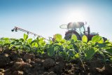 South Africa's Q2 farm exports to US surge but tariffs dampen prospects