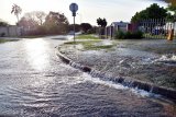 Mega leak turns suburban Gqeberha road into river