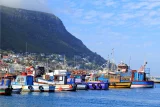6 South African coastal towns where you can taste the freshest fish ever