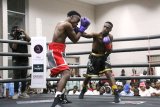 EL trio gunning for provincial rival dominance in Gqeberha