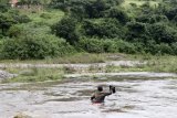 KZN is failing to build houses for thousands of flood victims
