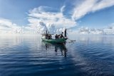 South Africa gains approval to export fish to the US