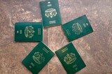 Call to scrap “apartheid-era” passport control with Lesotho