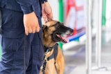 Police K9 unit gets welcome boost in Cape Town