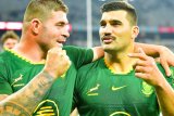 Two chances to cheer: Why London’s South African expats are about to have the rugby month of (…)