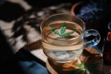 News24 | Leaf it to science: SA researchers uncover the hidden power of cannabis leaves