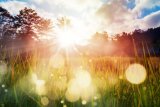 Gauteng to enjoy sunshine and mild heat