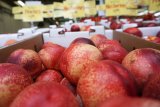 US Tariffs: SA negotiates MAJOR stone fruit trade deal with China